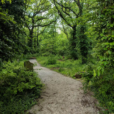 A mulch-covered path leads into a wooded area. Bright green trees covered in lush green vines line the path. There is a small stone marker to the left of the path.