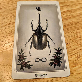 Picture of the Strength tarot card. At the top is a roman numeral 